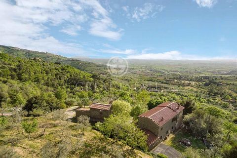 CASALE RICCIOLO 1 23 4043617 1275630990534248550
