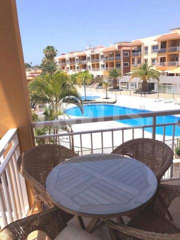 ᐅ Apartment for sale, Posto Al Sole, Callao Salvaje, Tenerife, 1 Bedroom, 52 m², 205.000 € 1 24 3554407 902572745257693700