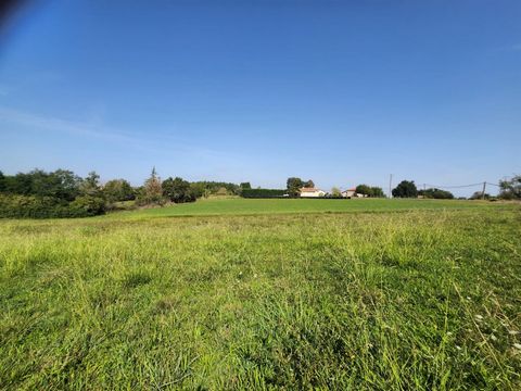 Large building plot of 2500m² 1 26 3690028 1568937458059445772