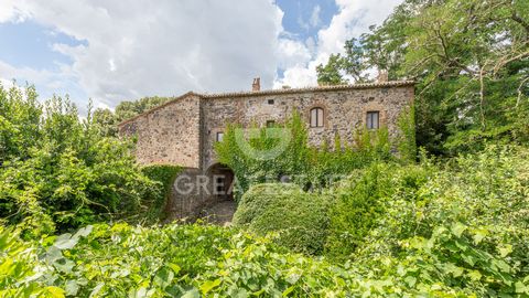La Torricella di Orvieto 1 26 4005057 1636694188321356936