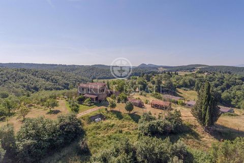 AZIENDA AGRICOLA LA MADDALENA 1 27 3140118 1447235957731557312