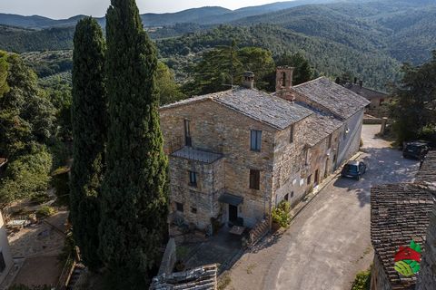 “La Canonica” – Monte Vibiano Vecchio 1 28 4392844 1128546968352818265