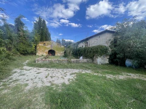 AZ215- 85 hectares vineyard with farmhouse, outbuildings and cave 1 29 3799830 447133415409214464