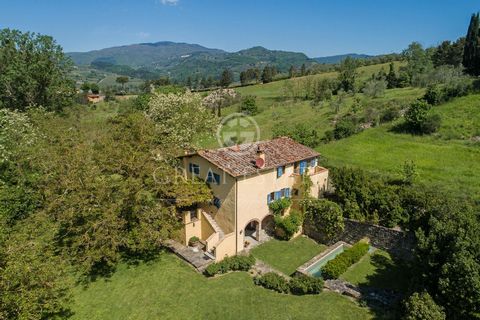 IL MULINO FIORENTINO 1 29 5149662 1496442092488140834