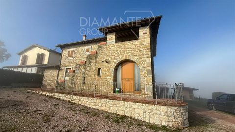 GU6359- Casale in pietra su due livelli diviso in 5 appartamenti con piscina 1 29 5407892 909008275393476566
