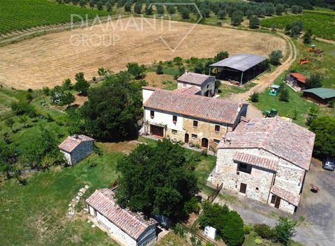 AZ179 - azienda agricola vitivinicola di 27 Ha con podere, ristorante e vigneto 1 3 4603913 285890218515915660