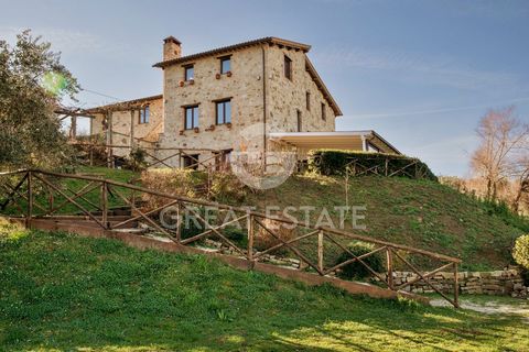 LA VEDUTA DEI CONTI 1 3 4655492 255986469300525678