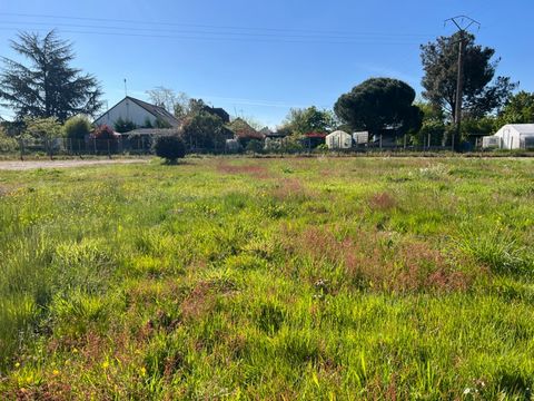 Dpt Maine et Loire (49), à vendre MONTREUIL SUR LOIR terrain de 400m2 1 3 4714456 850019400854005536