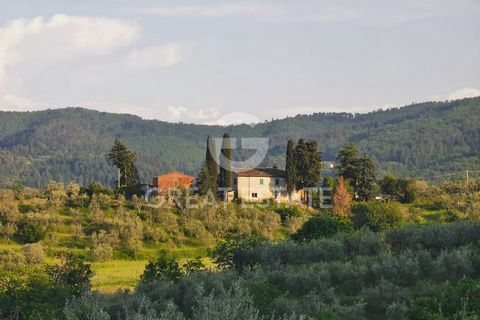 Podere Faggeto 1 3 4989741 2415019205530546593