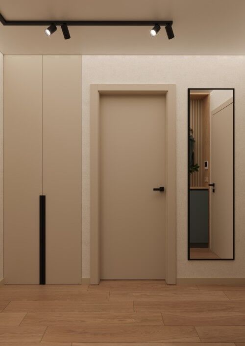 Interior door with mirror in modern apartment.