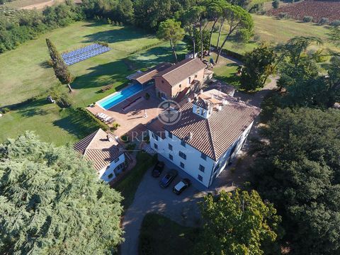 Tenuta Sansovino 1 4 3917268 706915096863977041