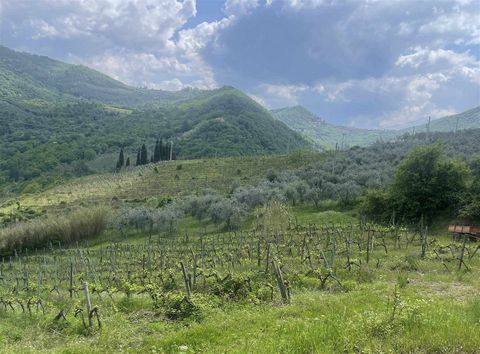 Landwirtschaftliches grundstueck in Greve in Chianti Firenze - zone San Polo in Chianti zu verkaufen 1 5 4174204 398954434905999585