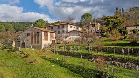 PODERE MAGGIO 1 5 4683085 975786438381370356