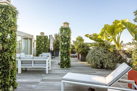 Near cannes center- amazing penthouse in perfect conditions 1 5 7340470 136940160456212102
