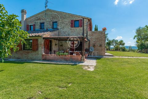 Podere delle Vigne di Chiusi 1 6 3423138 318539836475180658