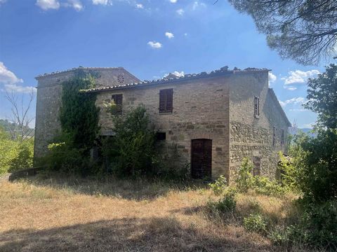 AZ212 - 60.5 hectares farm with stone farmhouse, barn and ruin 1 6 3636553 2428424399439091780