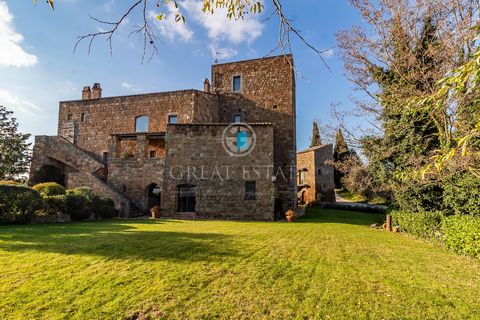 La Torre Longobarda 1 6 3835168 122910688519920192