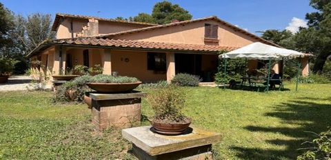 Country Estate Maremma, Massa Marittima, Tuscany 1 7 3692970 297583913120626110