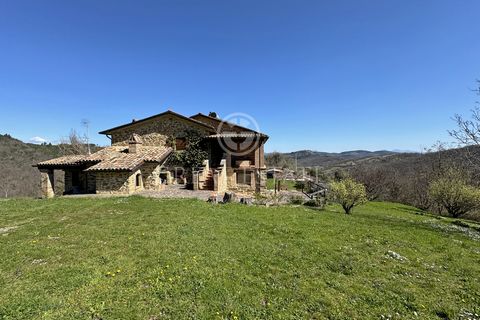Podere Bellavista 1 7 4214506 3718683029011843200