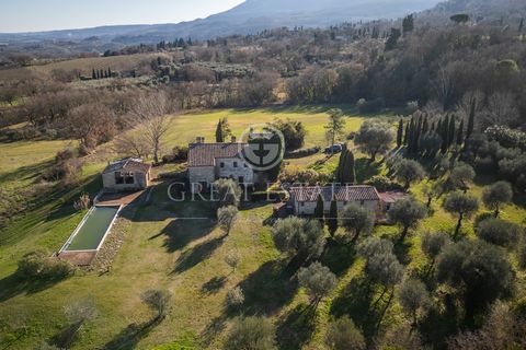 CASALE ADRIAN 1 7 4214516 580865867808922290