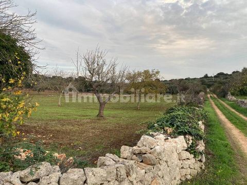 Plot Giuseppina 1 7 7839286 710221669204994535