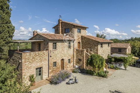 TENUTA LAVANDA 1 8 4335436 124108674815837598
