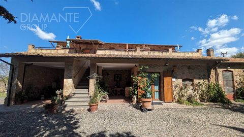Rustico in Cinigiano Grosseto zu verkaufen 1 9 4160306 3006148168716039180