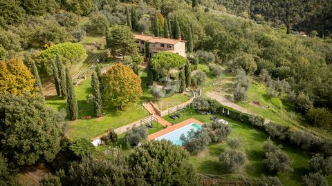 PODERE DELL'ORSO 1 9 5962762 2046712181698796050