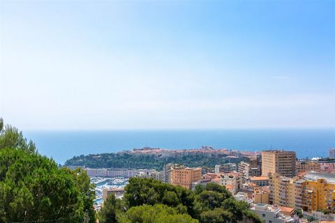 Magnificent Penthouse with panoramic sea and Monaco views 1 9 7496611 152928993576641678
