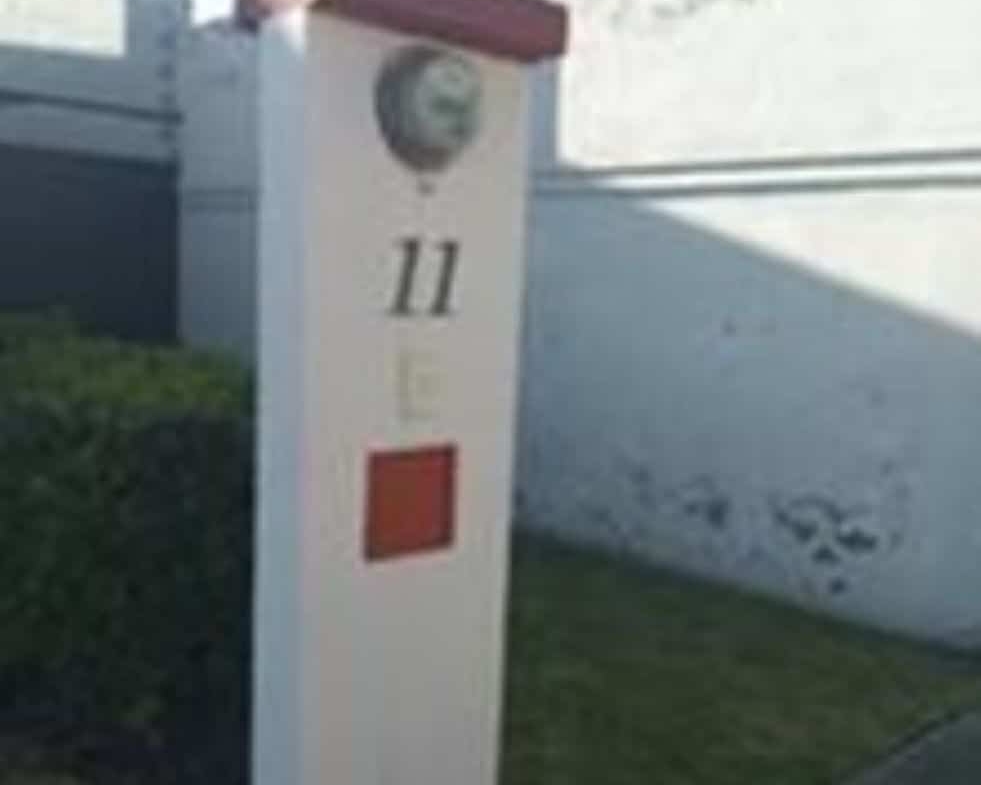981