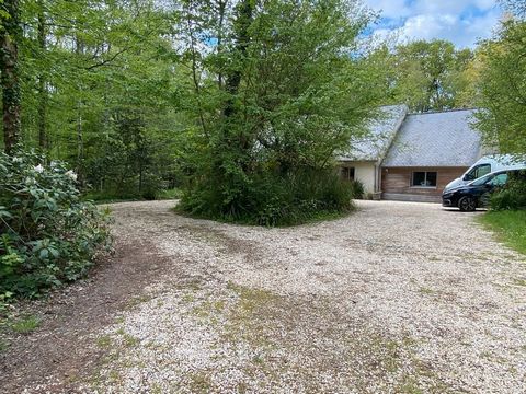 House in private forest estate 1 19 3999341 482826699598173537