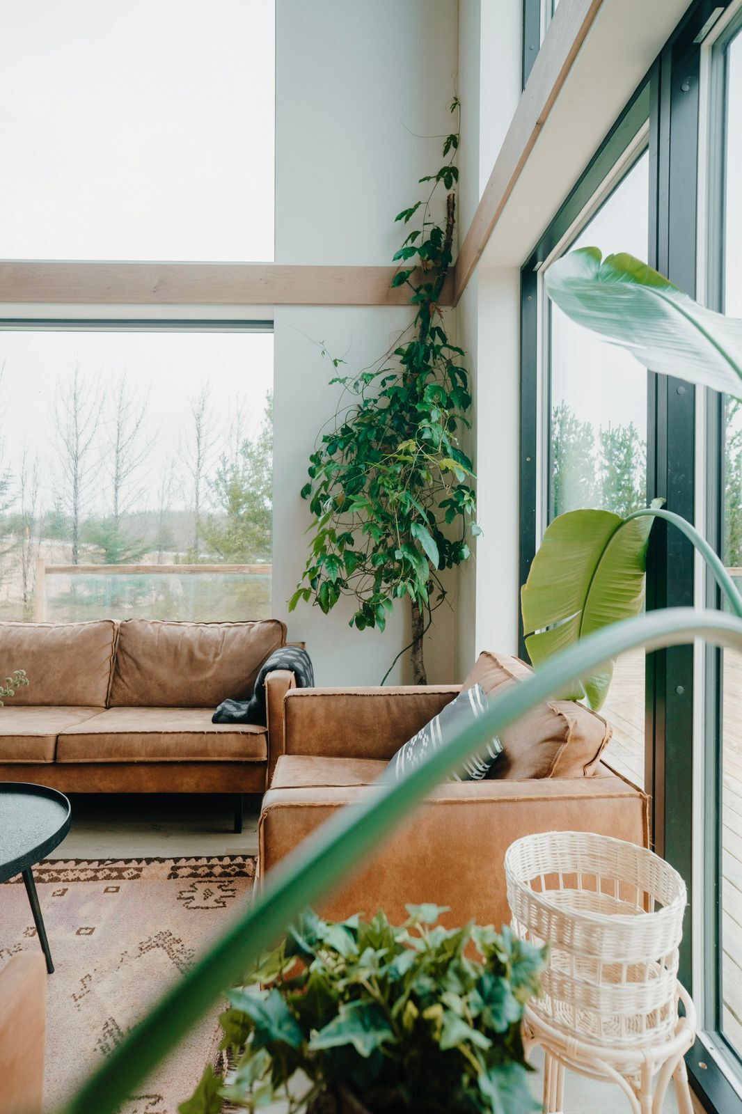 Geothermal designer villa with modern decor in Reykjavik, Iceland, featuring large windows and natur.