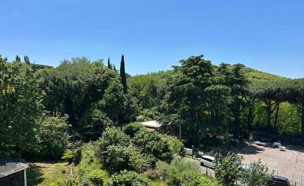 Scenic view of lush greenery and trees from a penthouse in Ariccia, Rome.