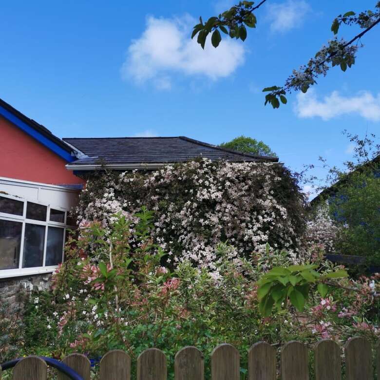 Beautiful Irish home with lush garden and blooming flowers in Cloonagh, County Sligo.