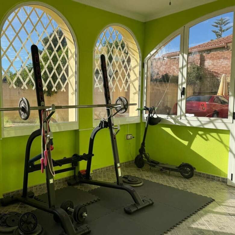 Bright green home gym with workout equipment and large windows.