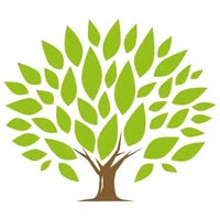 1 logoironwood