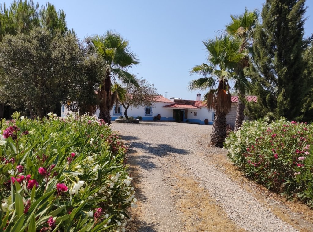 Giralda Luxury Estate For Sale In Mina de Sao Domingos Alentejo 1 00 6 1
