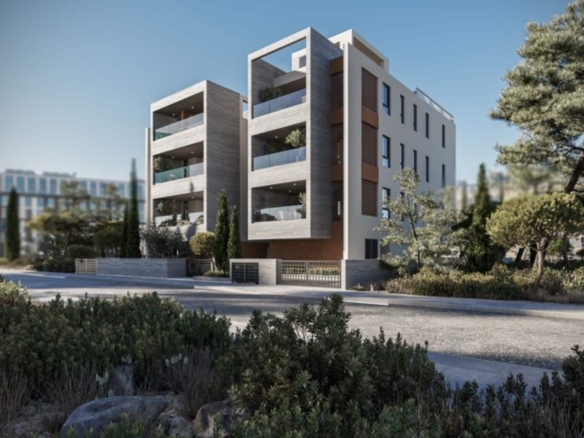 04 sunny angle copy medium large 1