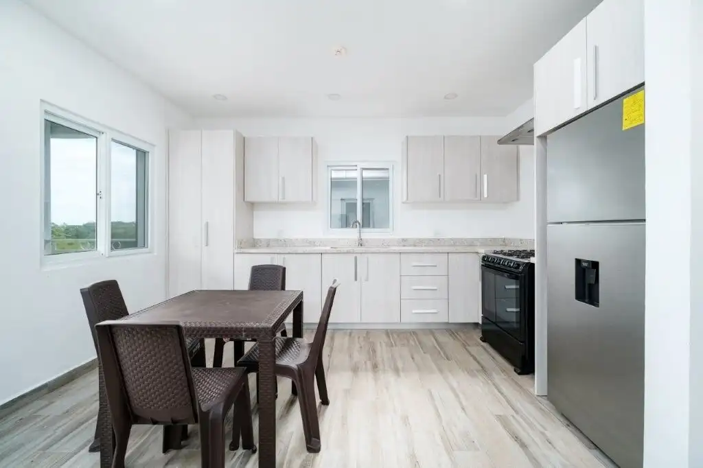 Modern kitchen with stainless steel appliances and bright natural light in Pedasi.