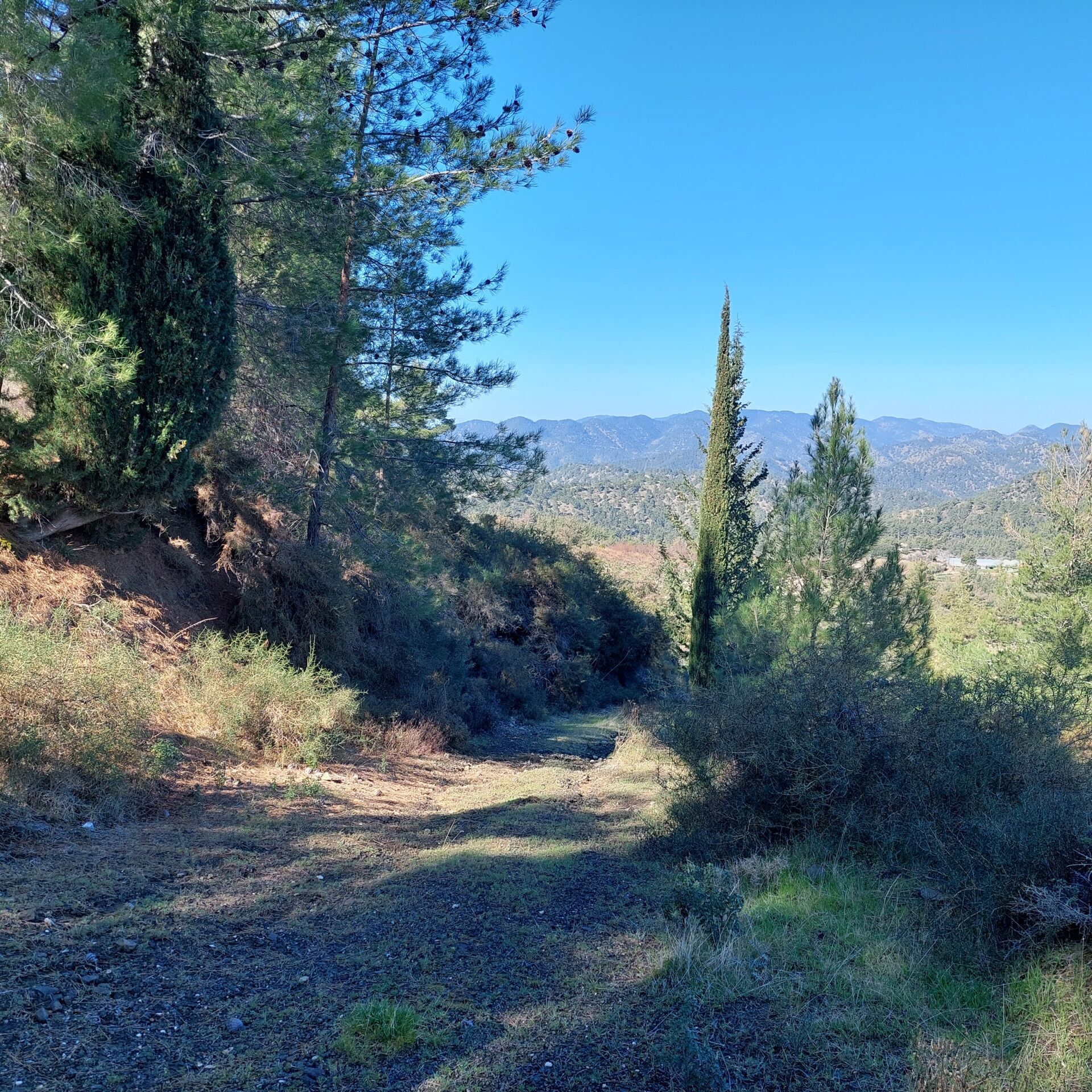 Beautiful land plots for sale in scenic countryside close to major cities.
