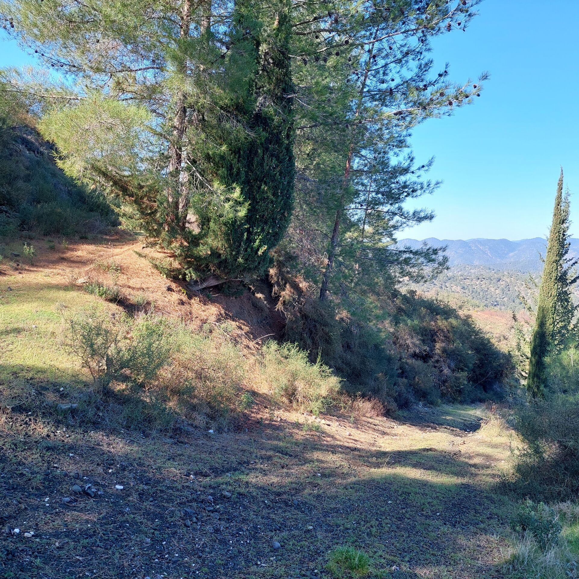 Beautiful land plots with lush greenery and scenic views in Cyprus. Ideal for building your dream ho.