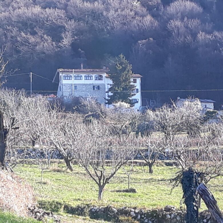Charming property in Negrar di Verona with scenic vineyard views and surrounding nature.