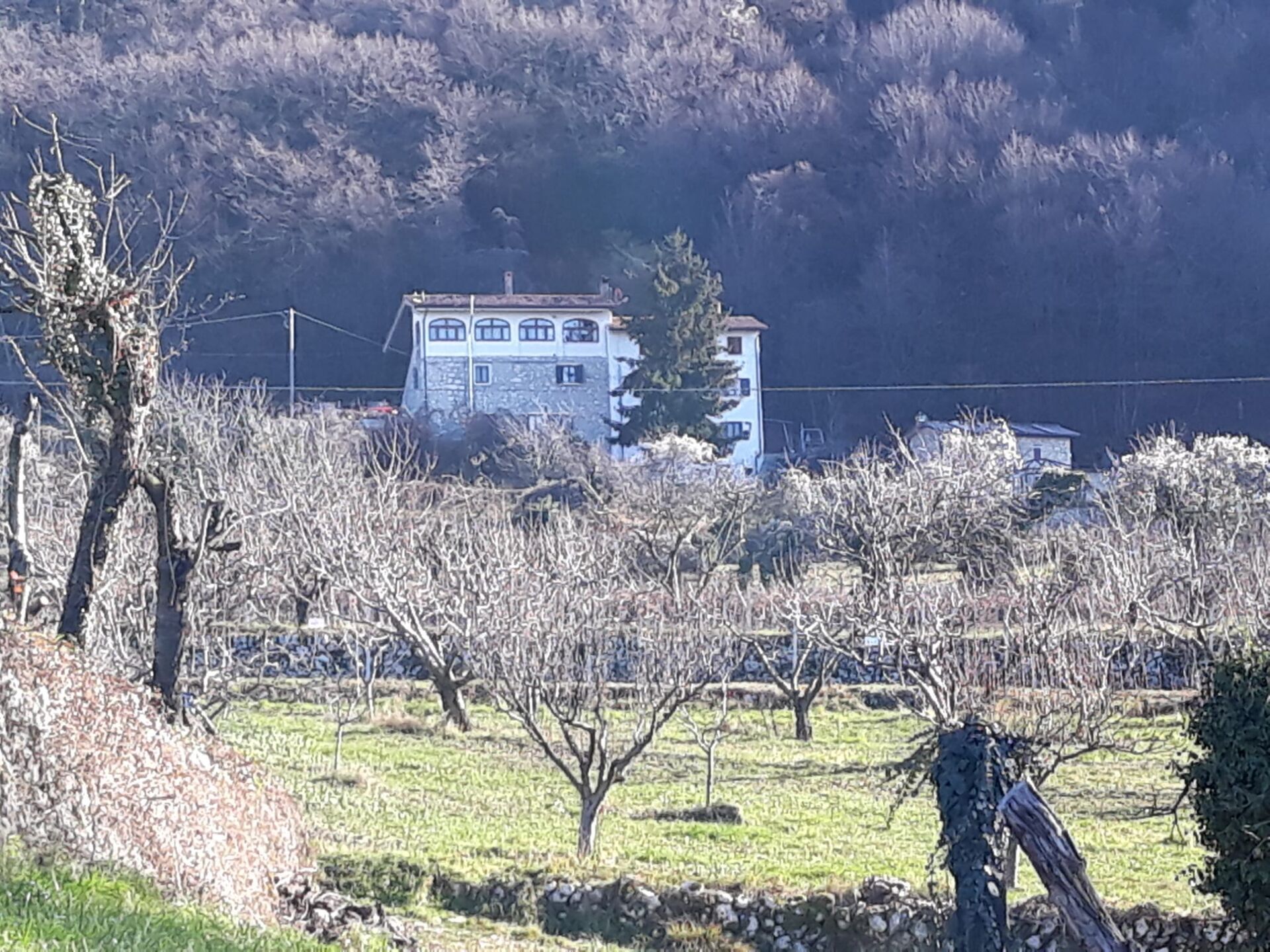 Charming property in Negrar di Verona with scenic vineyard views and surrounding nature.
