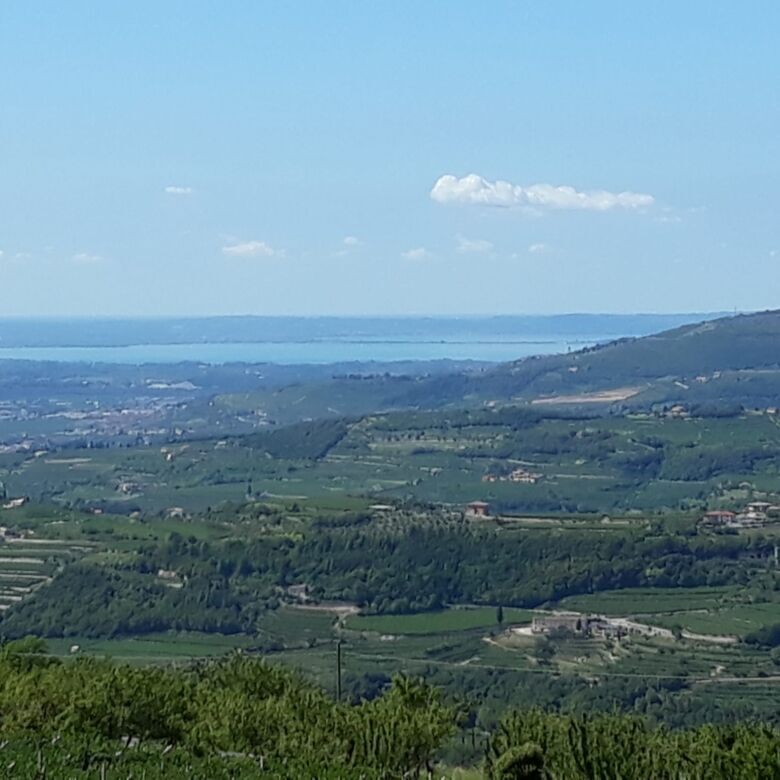 Scenic estate of properties for sale in Negrar di Verona, Veneto, offering stunning views and prime.