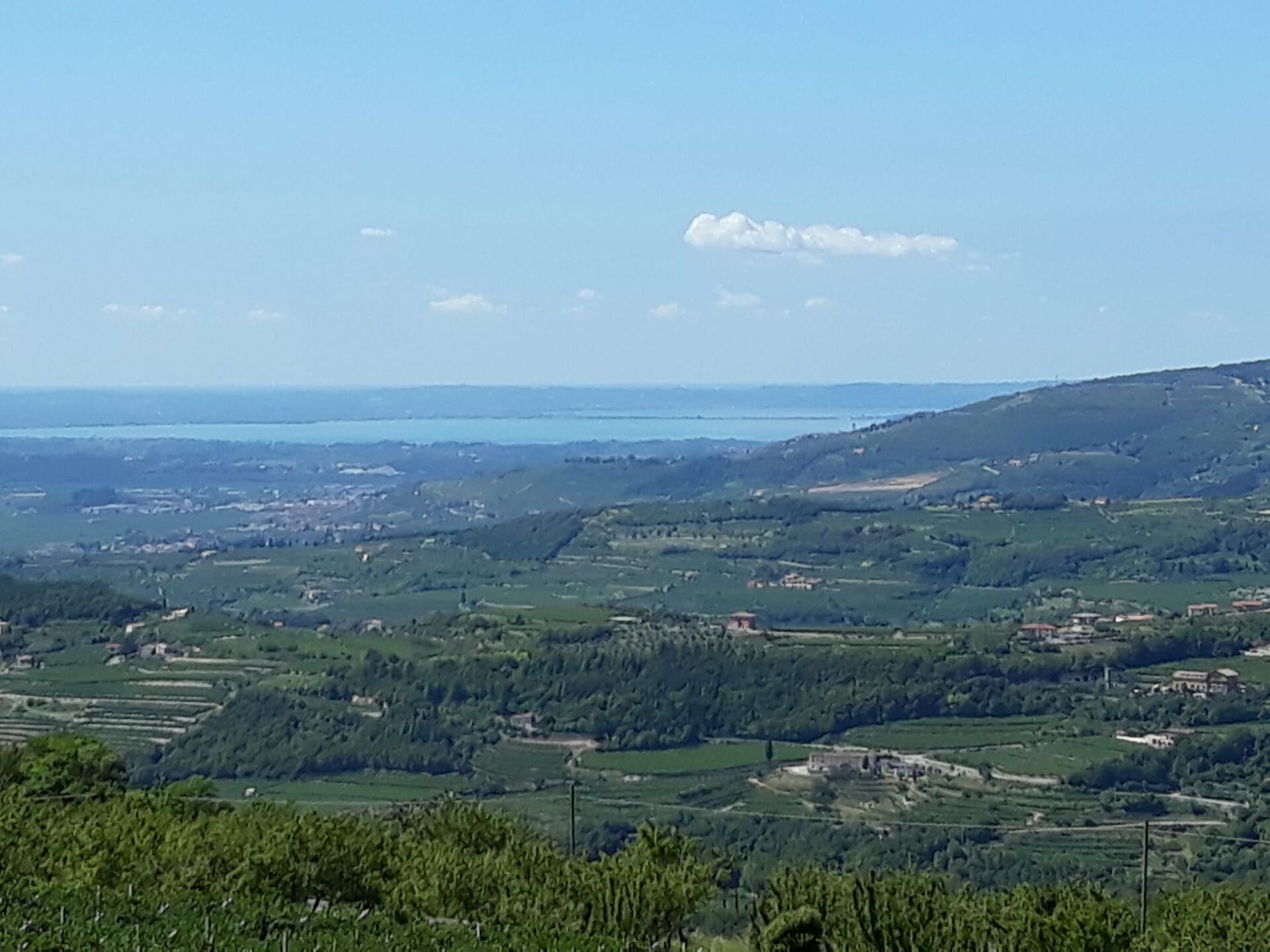 Scenic estate of properties for sale in Negrar di Verona, Veneto, offering stunning views and prime.