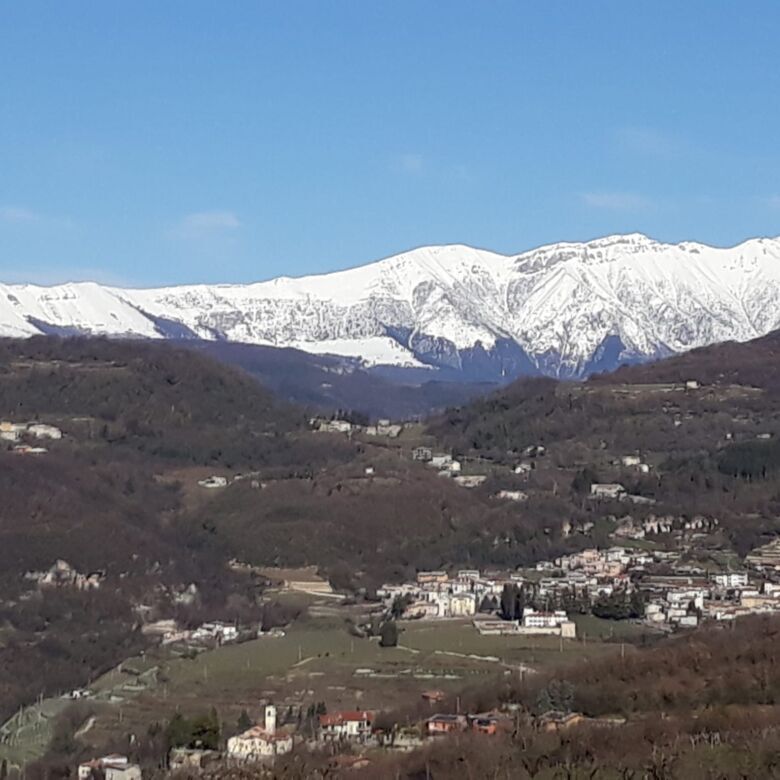 Estate of Properties for Sale in Negrar di Verona Veneto.
