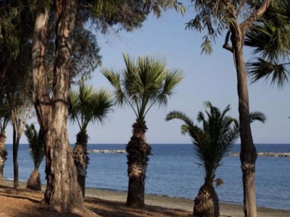 109440 apartment for sale in mouttagiaka full