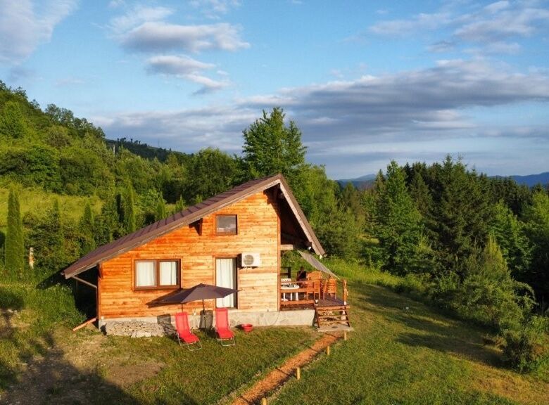 Cozy 1-bedroom log cabin for sale in scenic Grozăvești, surrounded by lush greenery and mountain vie.