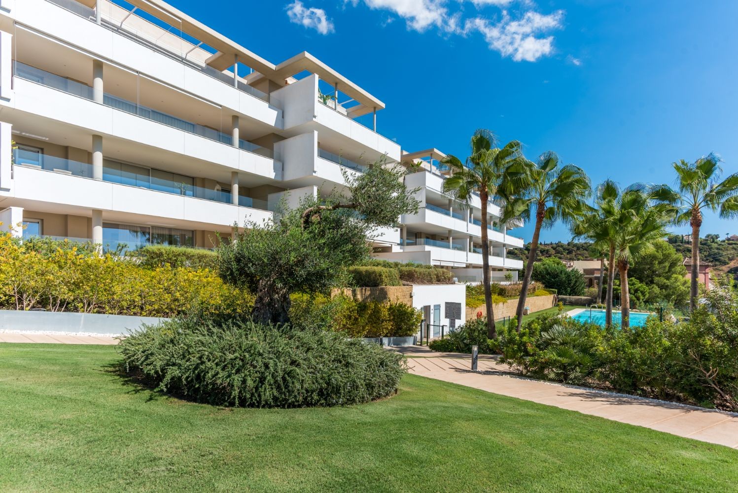 20220927-urb-botanic-benahavis-alpha-consulting-and-management-spain-sl-2-of-45