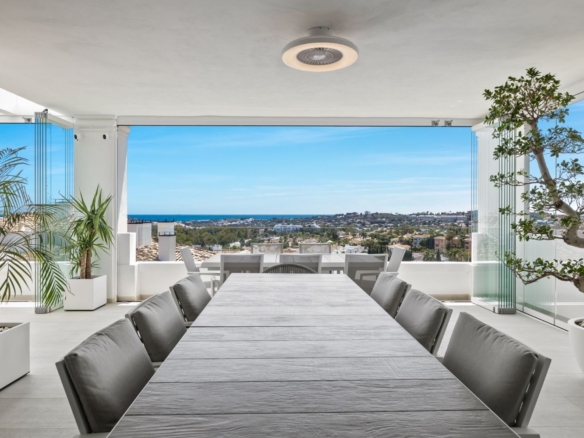 20230525 ownerslink nine lions p45